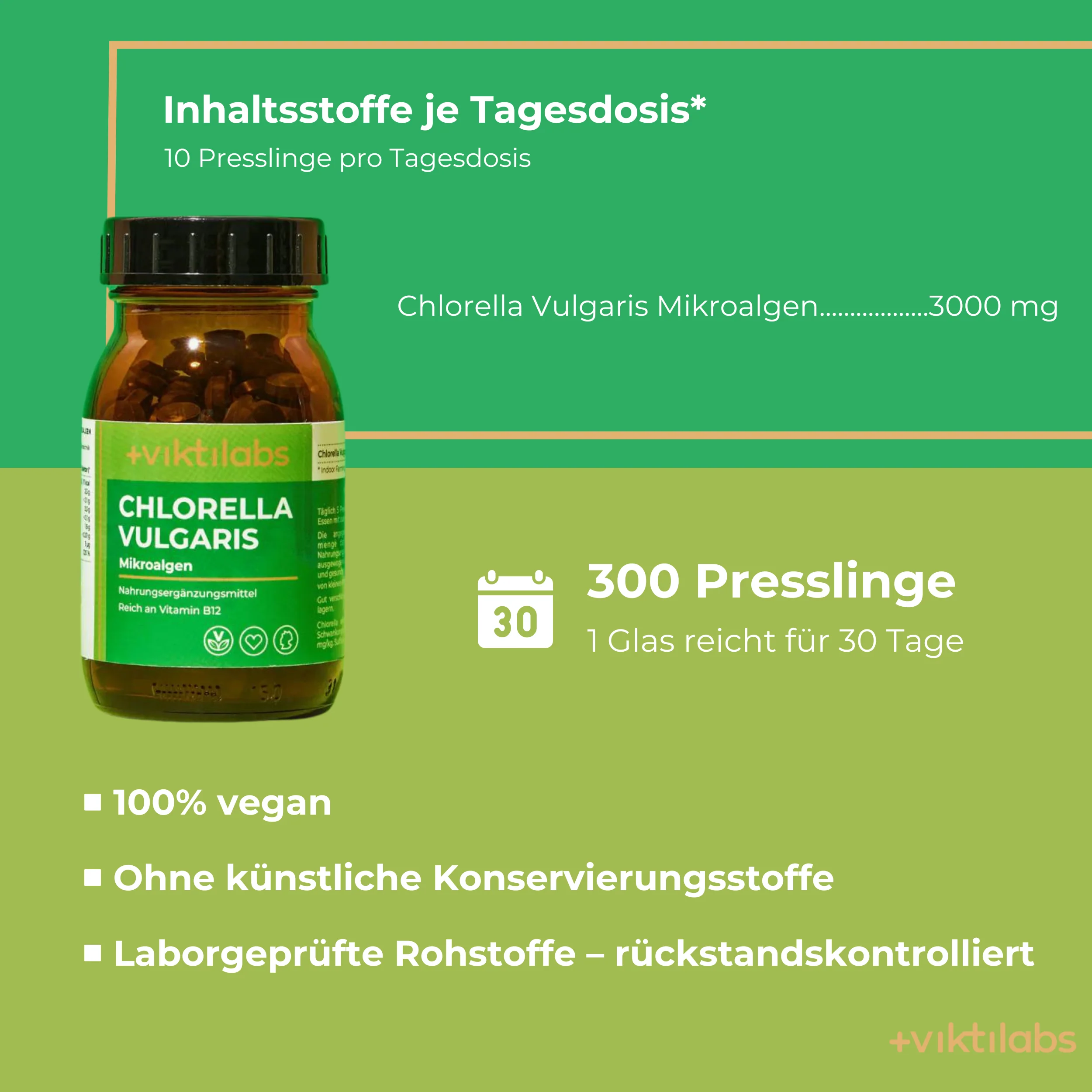 Vorschaubild 5