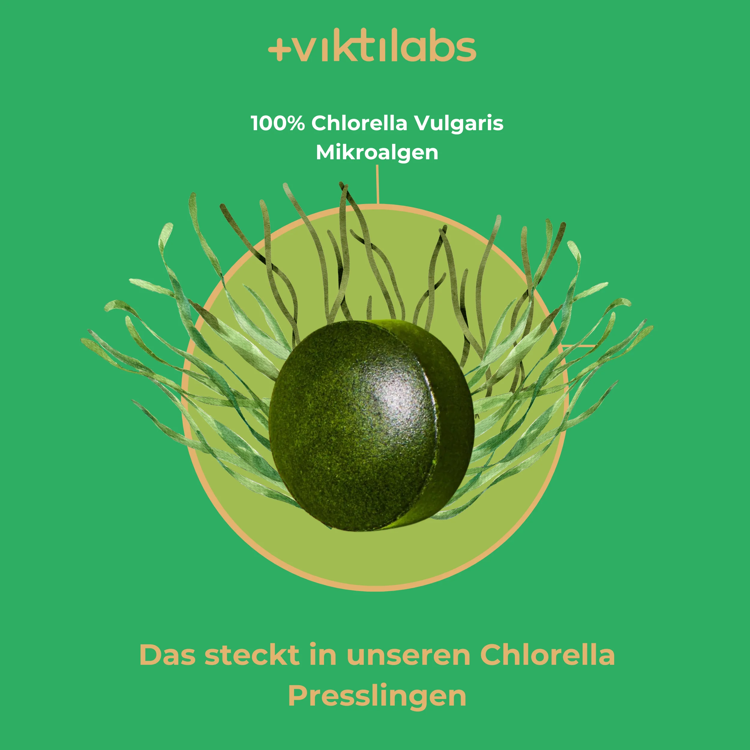 Vorschaubild 6