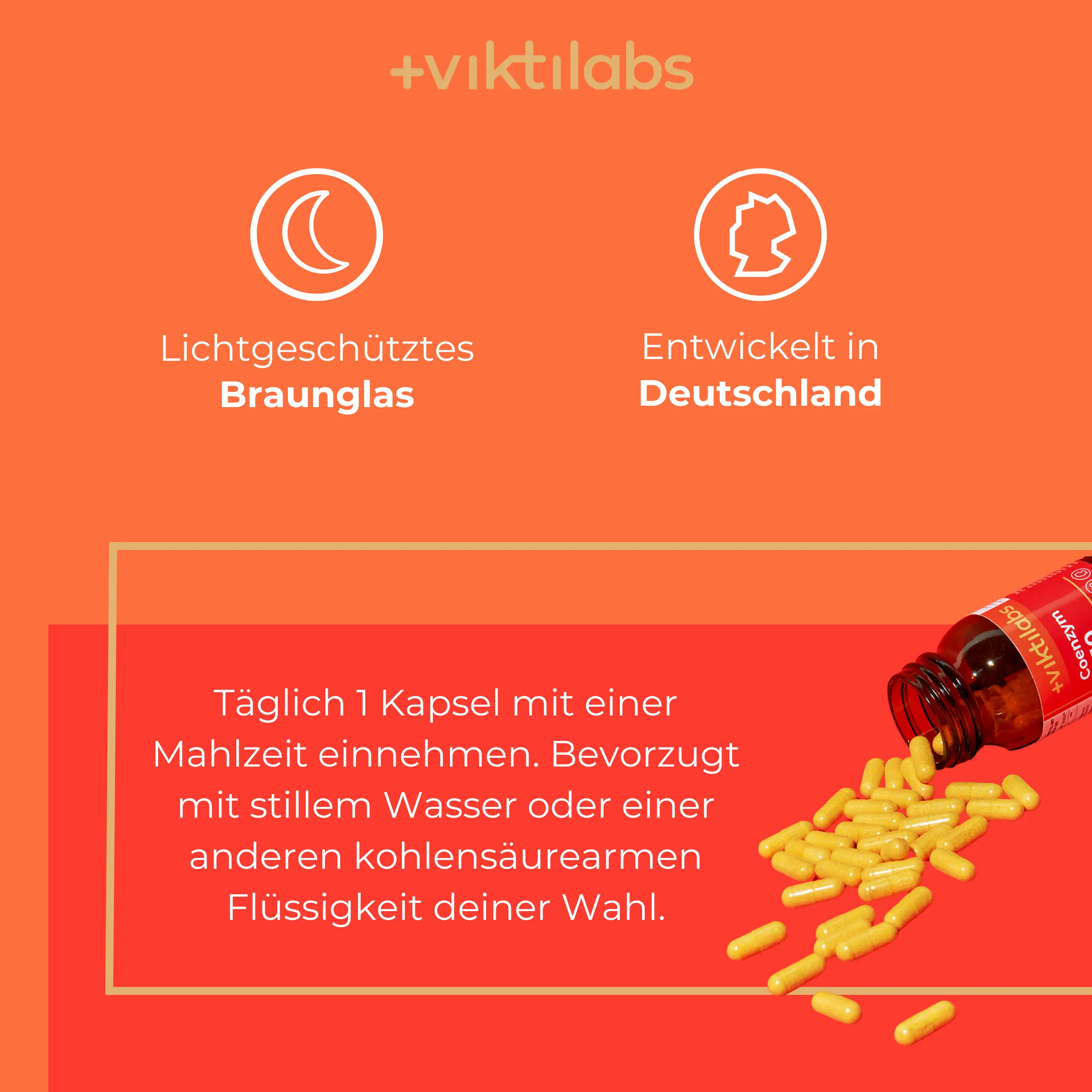 Vorschaubild 7