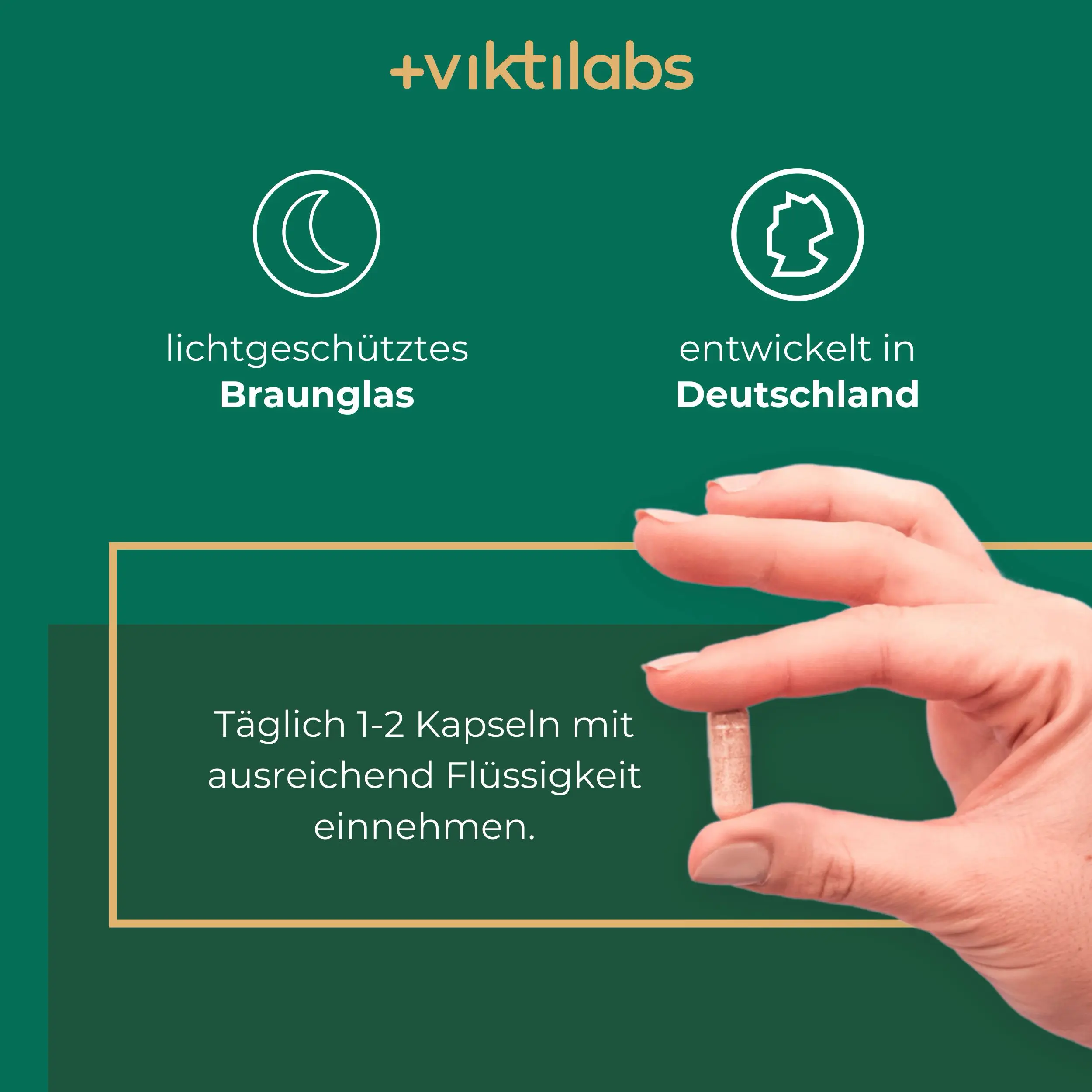 Vorschaubild 5