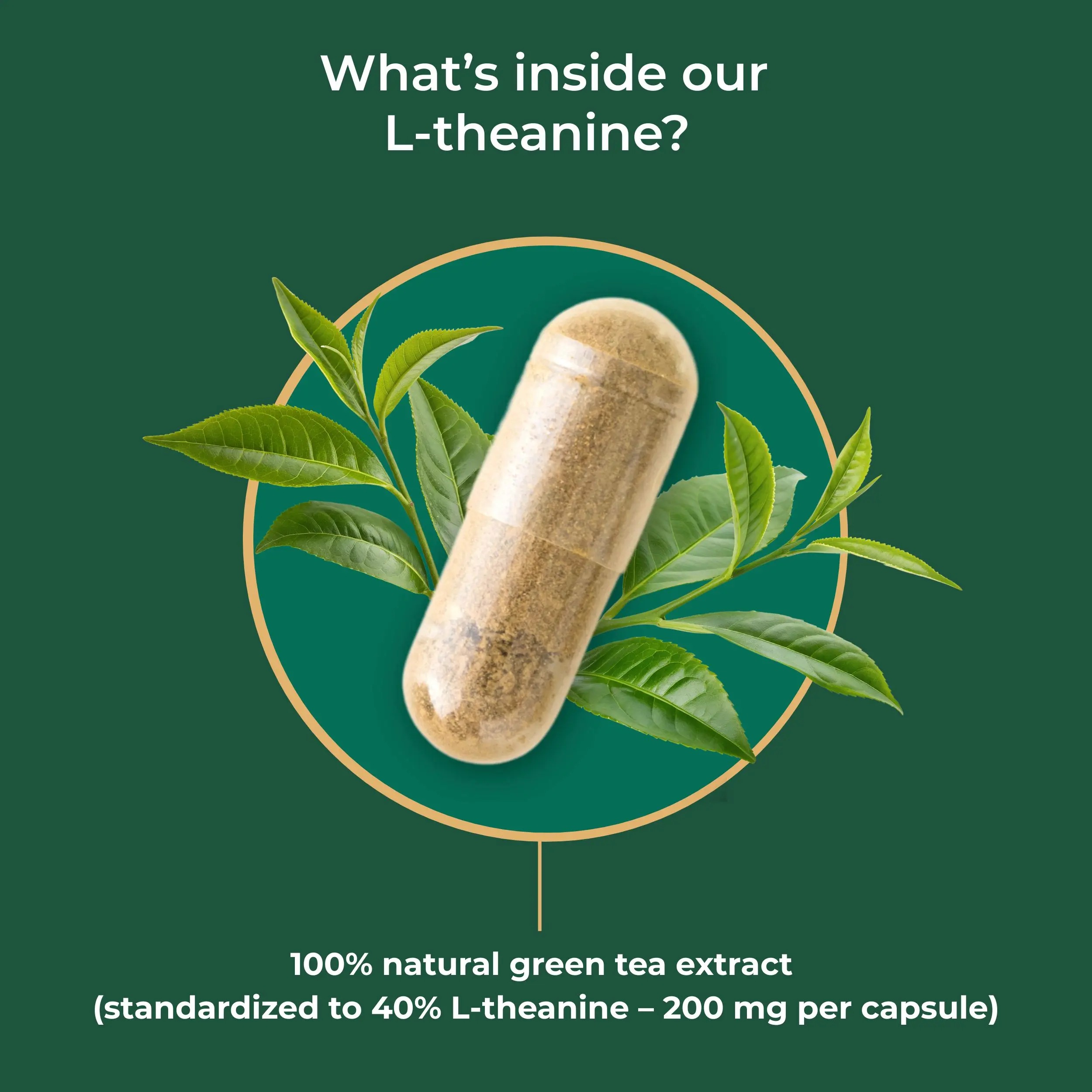 Vorschaubild 8