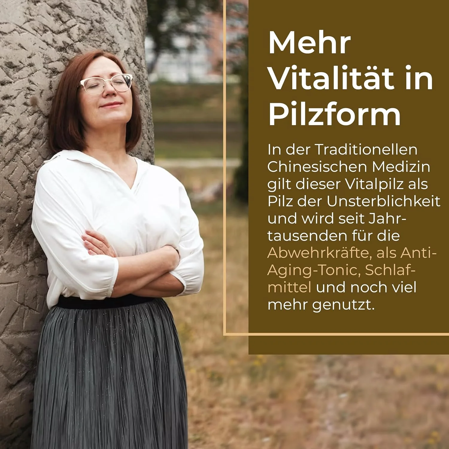 Vorschaubild 7